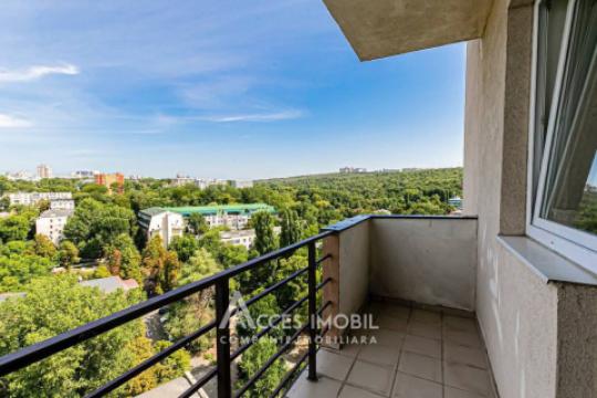 Chirie! Râșcani, str. Andrei Doga, 2 camere + living. Euroreparație!: 15