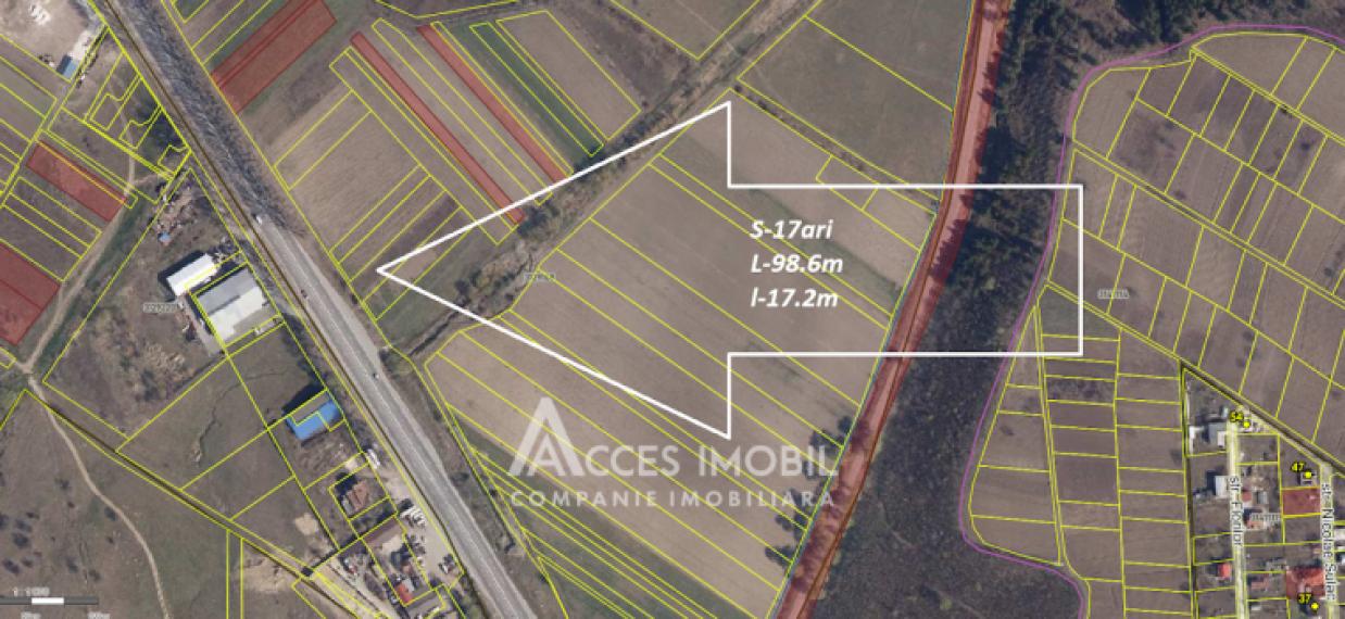 Сельскохозяйственный земельный участок 17 сот, Магдачешты!: 5