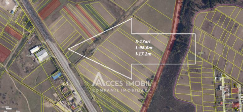 Сельскохозяйственный земельный участок 17 сот, Магдачешты!: 5