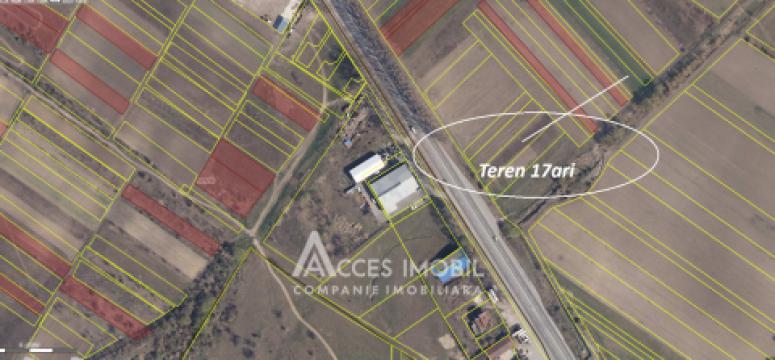 Сельскохозяйственный земельный участок 17 сот, Магдачешты!: 6