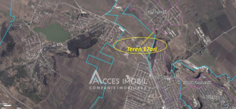 Сельскохозяйственный земельный участок 17 сот, Магдачешты!: 7