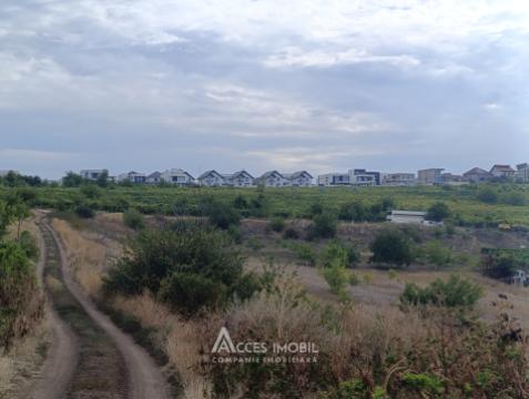 Terenuri de vânzare în Chișinău: Durlești, str. Mihail Odatiuc