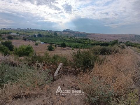 Teren agricol 14 ari, Durlești, str. Mihail Odatiuc!: 1