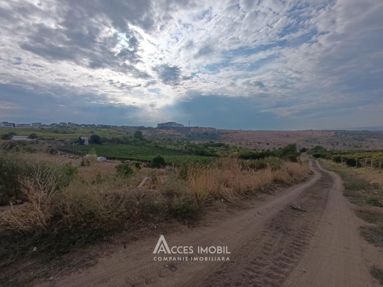 Teren agricol 14 ari, Durlești, str. Mihail Odatiuc!: 2