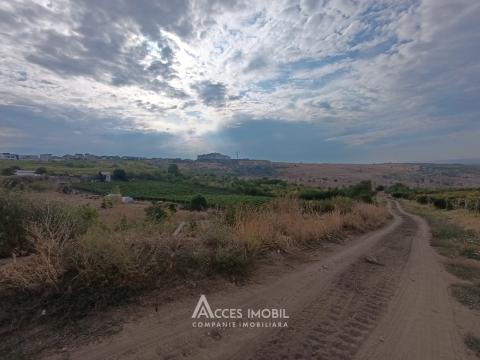 Teren agricol 14 ari, Durlești, str. Mihail Odatiuc!: 2