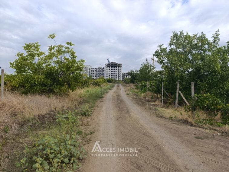 Teren agricol 14 ari, Durlești, str. Mihail Odatiuc!: 3
