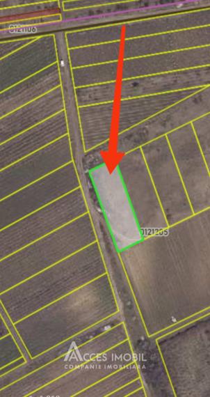 Teren agricol 14 ari, Durlești, str. Mihail Odatiuc!: 4