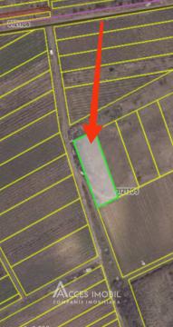 Teren agricol 14 ari, Durlești, str. Mihail Odatiuc!: 4