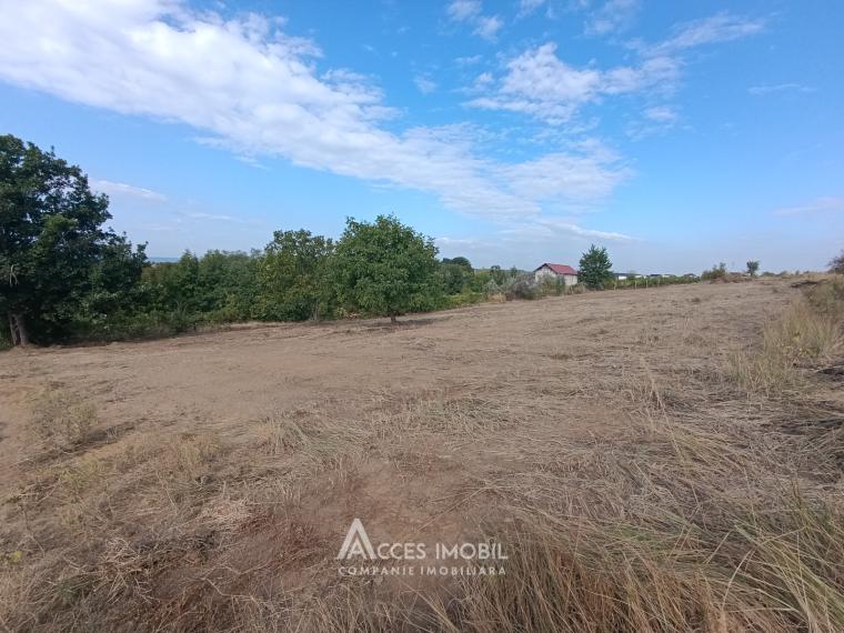 Teren pentru construcții 30 ari! Durlești, str. Tricolorului!: 0