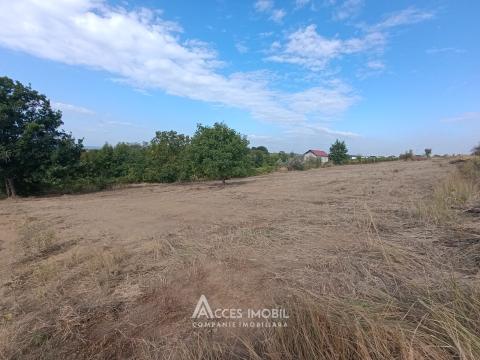 Terenuri de vânzare în Chișinău: Durlești str.Tricolorului