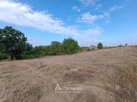 Teren pentru construcții 30 ari! Durlești, str. Tricolorului!: 1