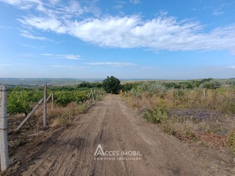 Teren pentru construcții 30 ari! Durlești, str. Tricolorului!: 2