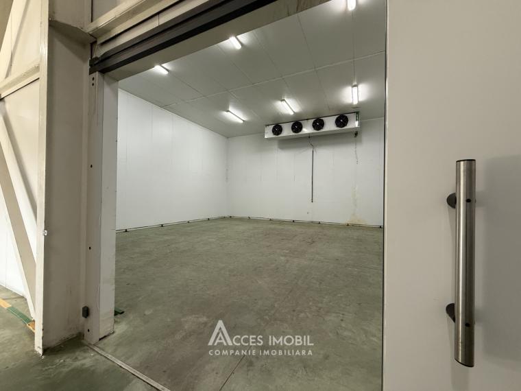 Chirie! Spațiu comercial, Râșcani str. Petricani, 762m2!: 2