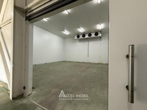 Chirie! Spațiu comercial, Râșcani str. Petricani, 762m2!: 2