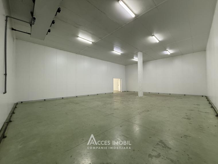 Chirie! Spațiu comercial, Râșcani str. Petricani, 762m2!: 6