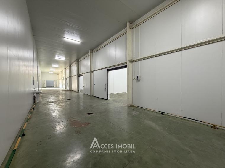 Chirie! Spațiu comercial, Râșcani str. Petricani, 762m2!: 7