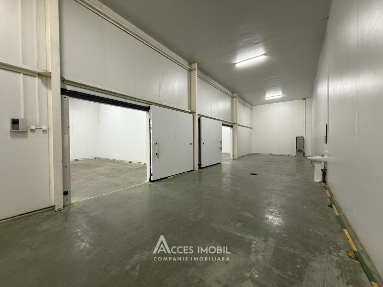 Chirie! Spațiu comercial, Râșcani str. Petricani, 762m2!: 8