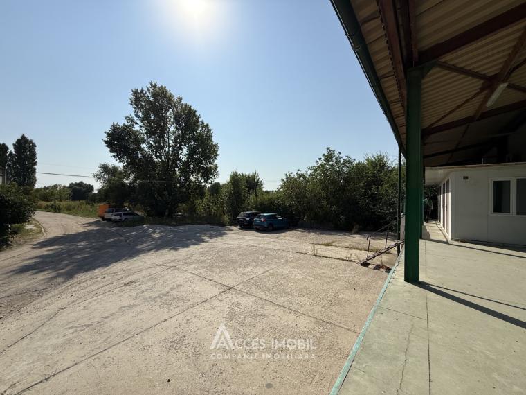 Chirie! Spațiu comercial, Râșcani str. Petricani, 762m2!: 12