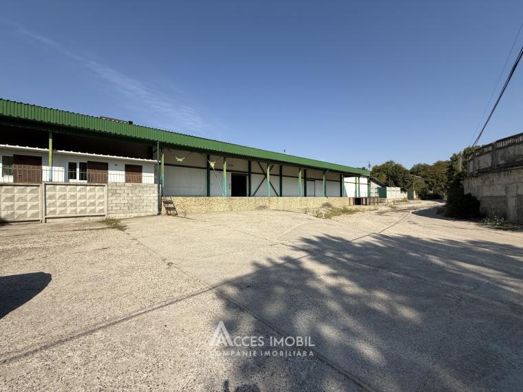 Chirie! Spațiu comercial, Râșcani str. Petricani, 762m2!: 13