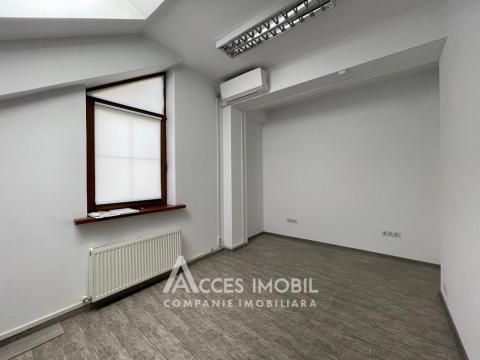 Chirie! Spațiu Comercial 600m2! Centru, str. București!: 4