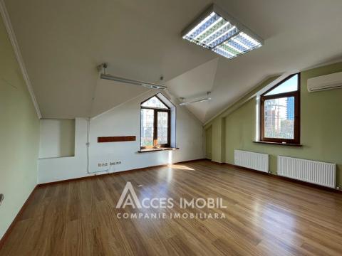 Chirie! Spațiu Comercial 600m2! Centru, str. București!: 5