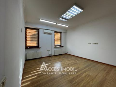 Chirie! Spațiu Comercial 600m2! Centru, str. București!: 6