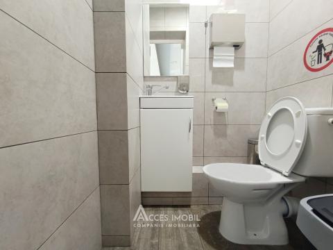 Аренда! Коммерческое помещение 200м2! Буюканы, бул. Алба Юлия! Aвтономное!: 7