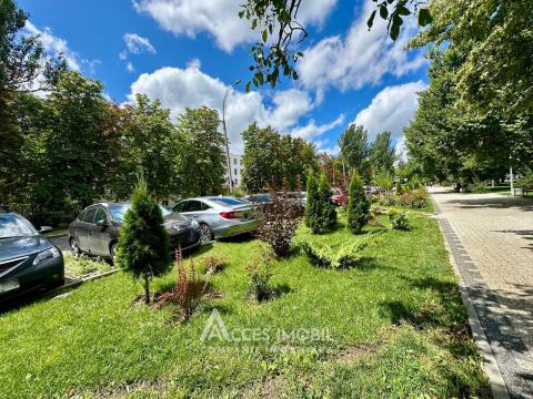 Râșcani, str. Matei Basarab, 2 camere + living. Euroreparație!: 15