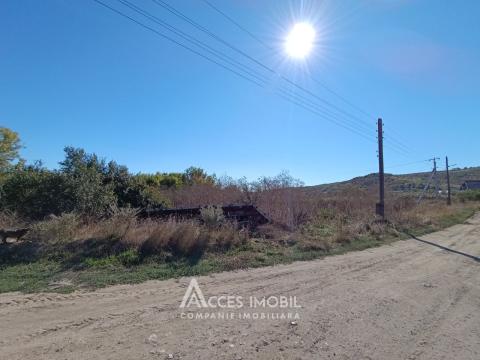 Teren pentru construcție 6 ari! Suruceni, str. Curtea Boierească.: 1