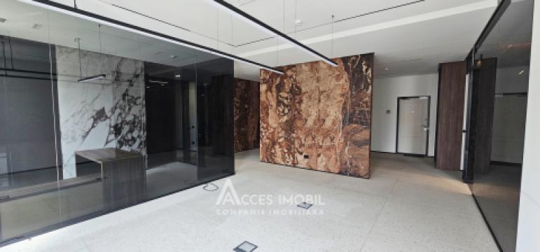 Chirie! Spațiu Comercial 165m2! Centru, str. Mihai Eminescu!: 4