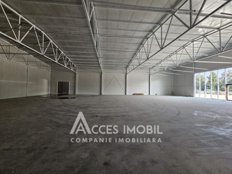 Spațiu comercial! Strășeni șos. Chișinău, 1400m2!: 5