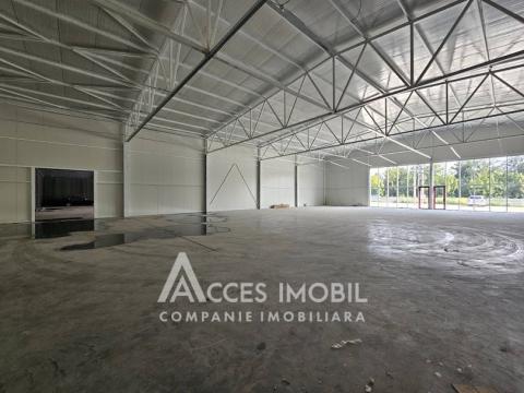 Spațiu comercial! Strășeni șos. Chișinău, 1400m2!: 6