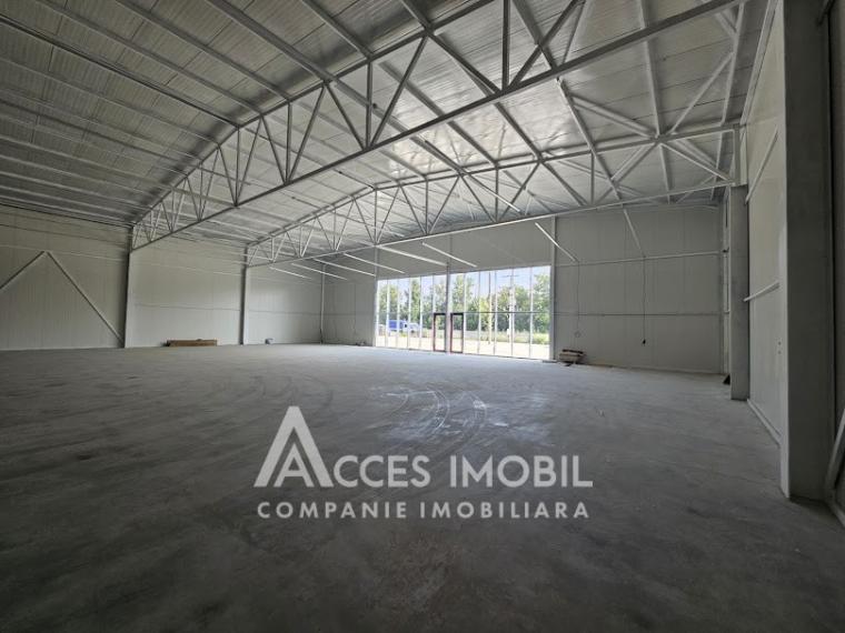 Spațiu comercial! Strășeni șos. Chișinău, 1400m2!: 7