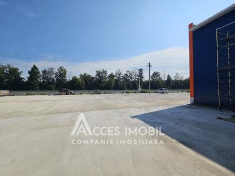 Spațiu comercial! Strășeni șos. Chișinău, 1400m2!: 10