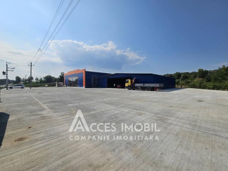 Spațiu comercial! Strășeni șos. Chișinău, 1400m2!: 11