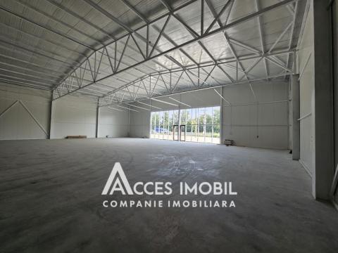 Chirie spații comerciale în Chișinău: Strășeni, șos. Chișinău