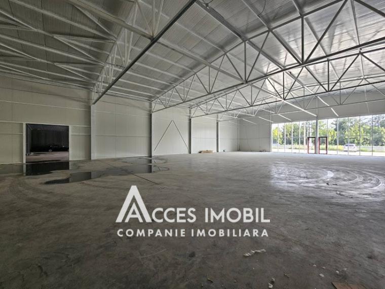 Chirie! Spațiu comercial! Strășeni șos. Chișinău, 1400m2!: 1