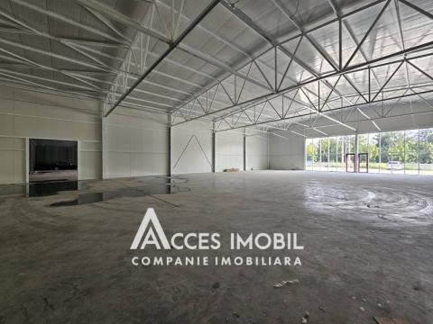 Chirie! Spațiu comercial! Strășeni șos. Chișinău, 1400m2!: 1