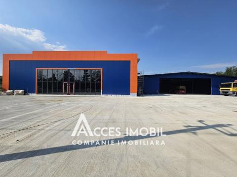 Chirie! Spațiu comercial! Strășeni șos. Chișinău, 1400m2!: 8