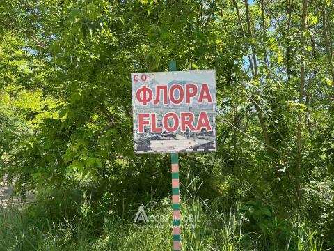 Lot de teren pomicol 6 ari! Pârâta, IP Flora!: 1