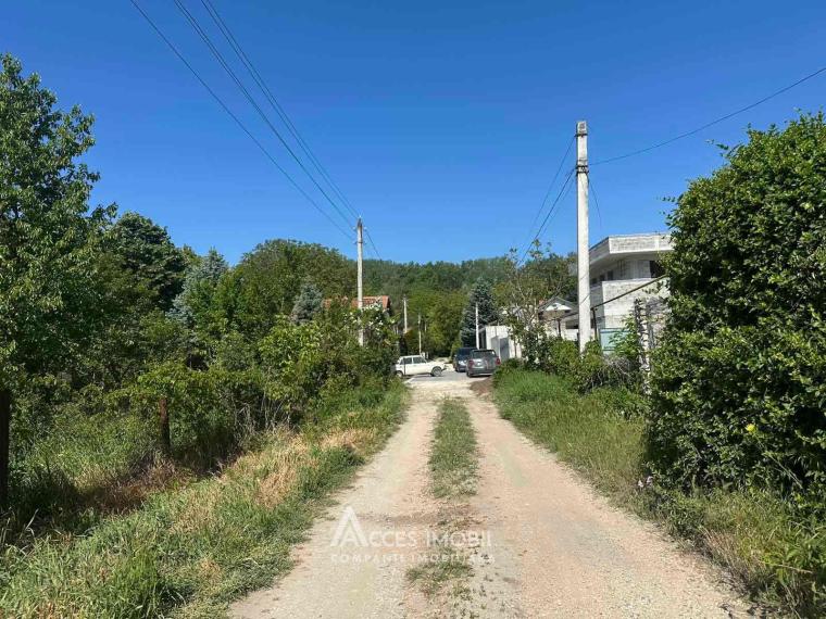 Lot de teren pomicol 6 ari! Pârâta, IP Flora!: 2