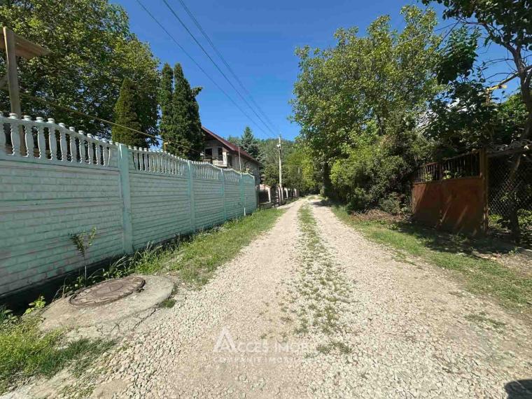 Lot de teren pomicol 6 ari! Pârâta, IP Flora!: 4