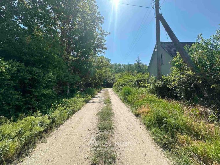 Lot de teren pomicol 6 ari! Pârâta, IP Flora!: 5