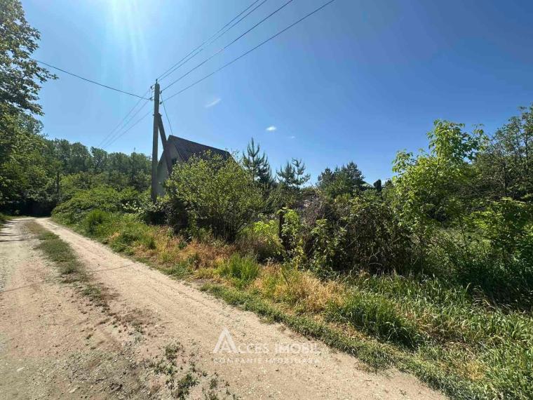 Lot de teren pomicol 6 ari! Pârâta, IP Flora!: 6