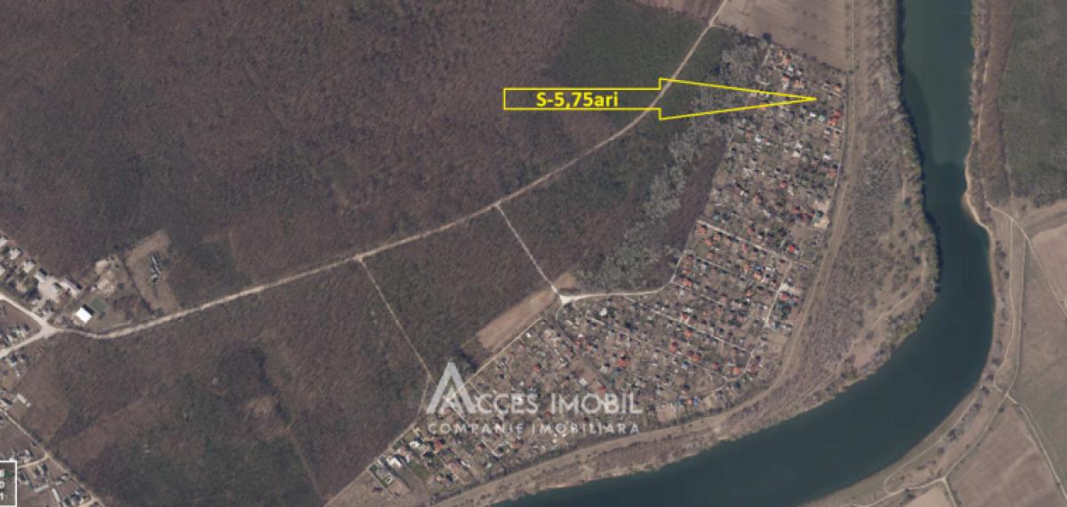 Lot de teren pomicol 6 ari! Pârâta, IP Flora!: 7