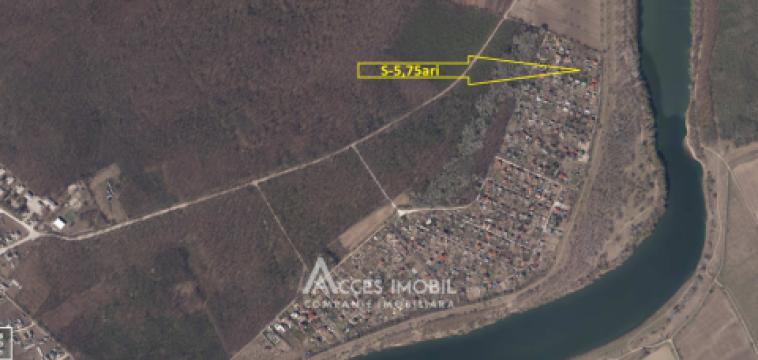 Lot de teren pomicol 6 ari! Pârâta, IP Flora!: 7