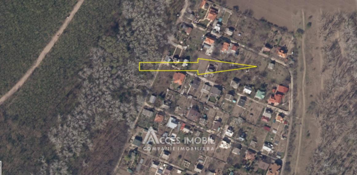 Lot de teren pomicol 6 ari! Pârâta, IP Flora!: 8