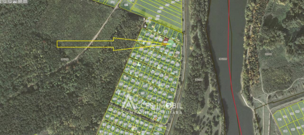 Lot de teren pomicol 6 ari! Pârâta, IP Flora!: 9