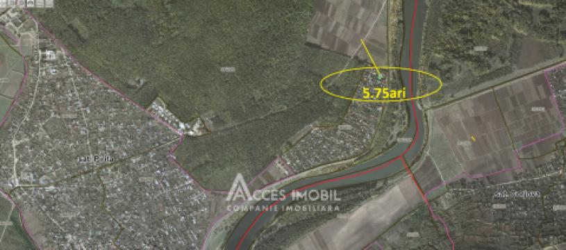 Lot de teren pomicol 6 ari! Pârâta, IP Flora!: 10