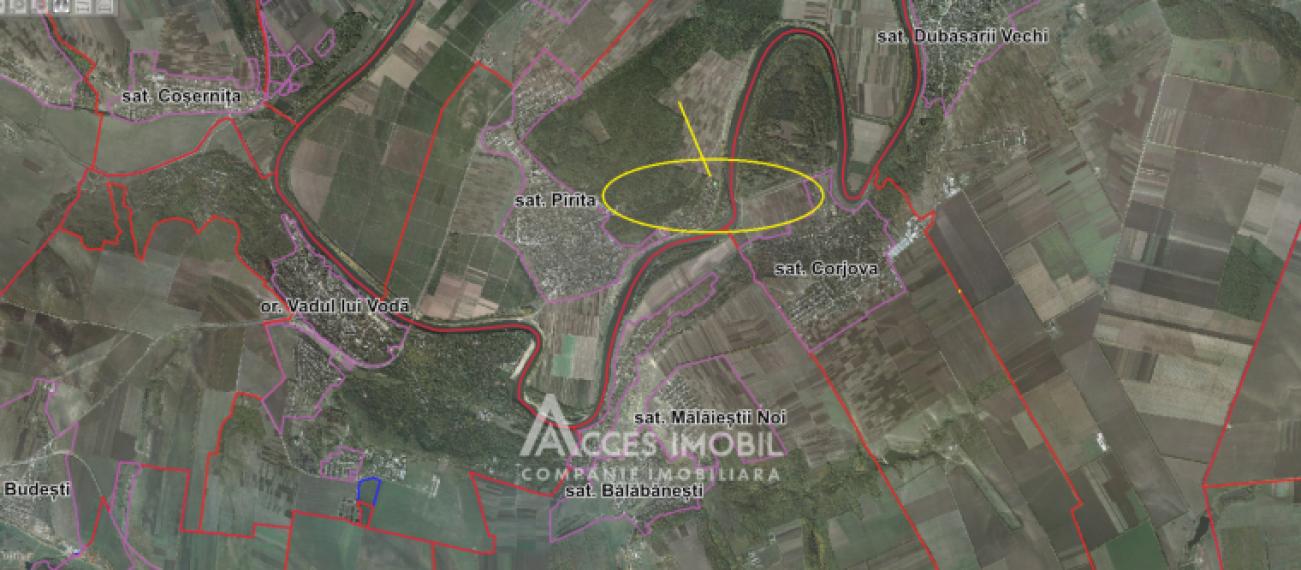 Lot de teren pomicol 6 ari! Pârâta, IP Flora!: 11